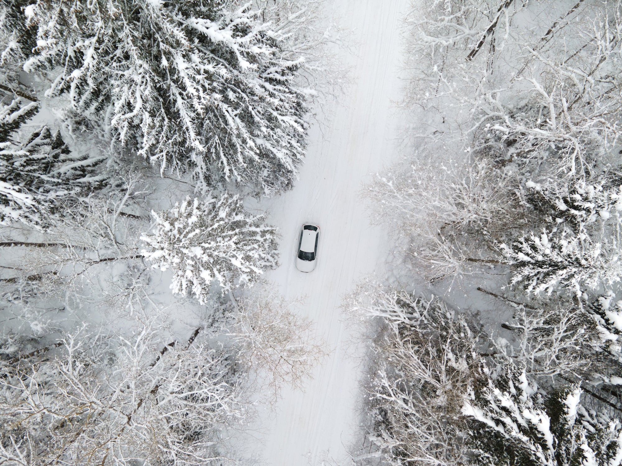 The 2 best Ride on Cars for your winter excursions