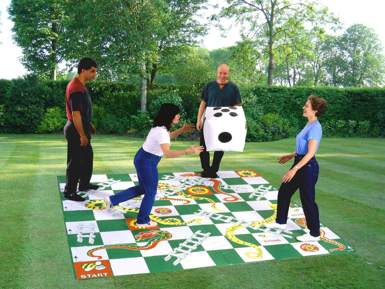 Giant Snakes & Ladders - DTI Direct USA